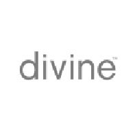 divine solutions divine solutions